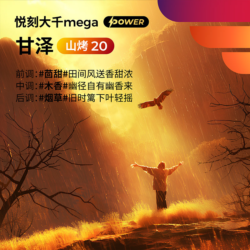 悦刻大千Mega甘泽山烤20 缩略图 2