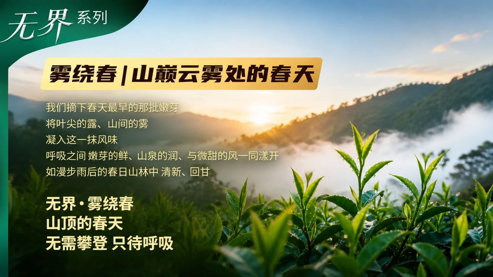 康诚一品雾绕春产品理念