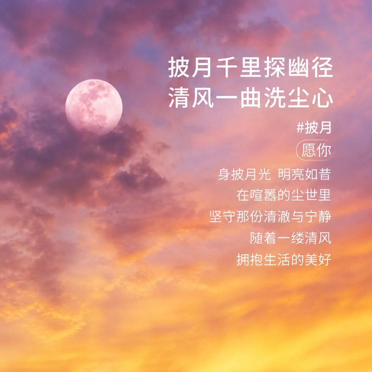 康诚一品沧海系列披月 缩略图 2