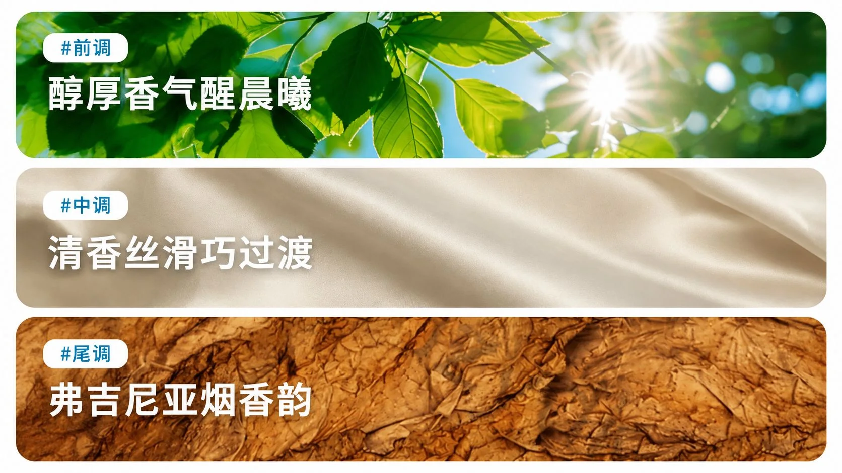 康诚一品沧海系列岛歌口味介绍