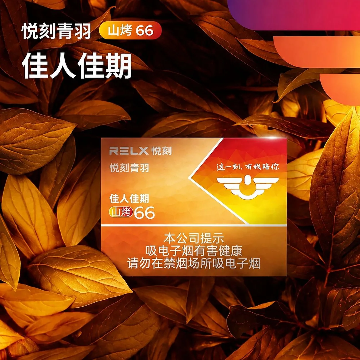 悦刻青羽佳人佳期山烤66