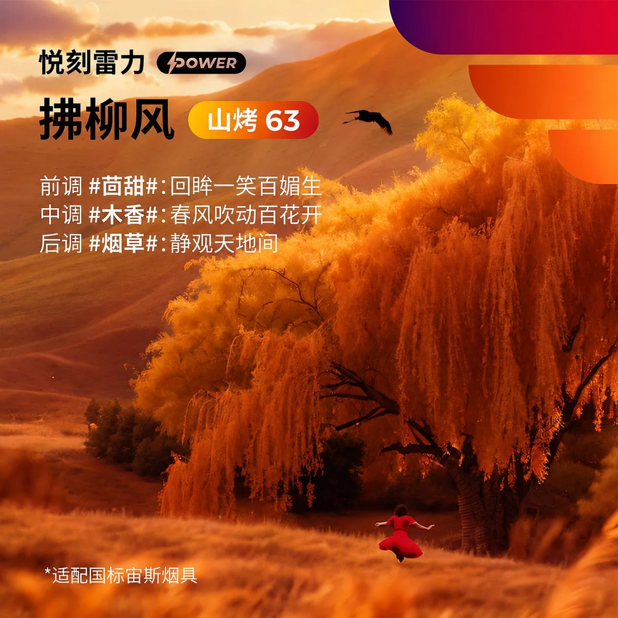 悦刻雷力Power拂柳风山烤63 缩略图 3